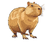 Capybaras Capybara