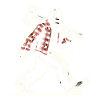 Lumberjack Forester Bigfoot