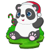 Panda Canne de Noël