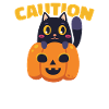 Halloween Costume
