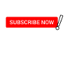 Bold Red Subscribe Now button