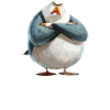 Möwe Seevogel Ich höre immer nur Mimimi