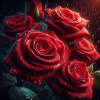Raining rose