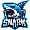 Shark Team