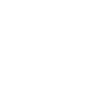 Afro Latina