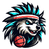 Porcupine Basketball Team