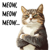 chat meow meow meow