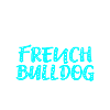Bouledogue français Französische Bulldogge Frenchie