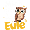 Nachteule Eule Eulen Vogel
