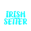 Irish Setter