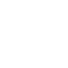 Norfolk Terrier