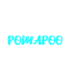 Pomapoo Pom-A-Poo