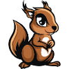 squirrel