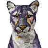 Tiger Tiger Tiger - Tiger Head