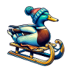Cool Duck Winter