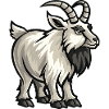 Capricorn