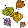 Autumn Leaves