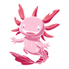 Cute Kawaii Axolotl for Axolotl Fans