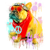 French Bulldog with Sunglasses