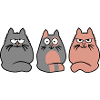 3 cats