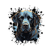 Labrador Dog Portrait