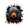 Caniche chien portrait