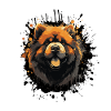 Chow Chow Dog Portrait