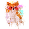 Chihuahua with sunglasses
