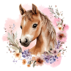 Cavallo Fiori Cavallo Ragazza Pony Carino Carino
