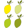 lemon lime