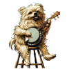 Maltese Dog Bluegrass Banjo Player
