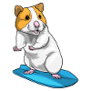 Hamster Surfing Surfboard Summer