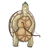 Arc d’archer tortue