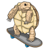Tortue Skater Skateboard