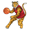 Tiger Basketball Player Basketball
