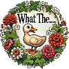 What the Duck