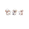 Cadeaux Bichon Frisé