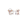 Cadeaux Bichon Frisé