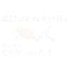 DIVING ADVENTURE