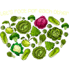 Inspirational Root Vegetables Motivational