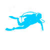 Scuba Diving Diver