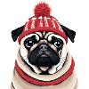 Mops mit Mütze