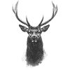 Deer Head Hunter Plain