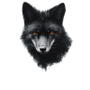 Black fox red eyes