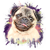 Pug Drawing
