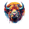 Bison