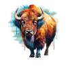 Bison