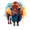 Bison