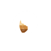 Afro Latina