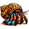 Hermit crab